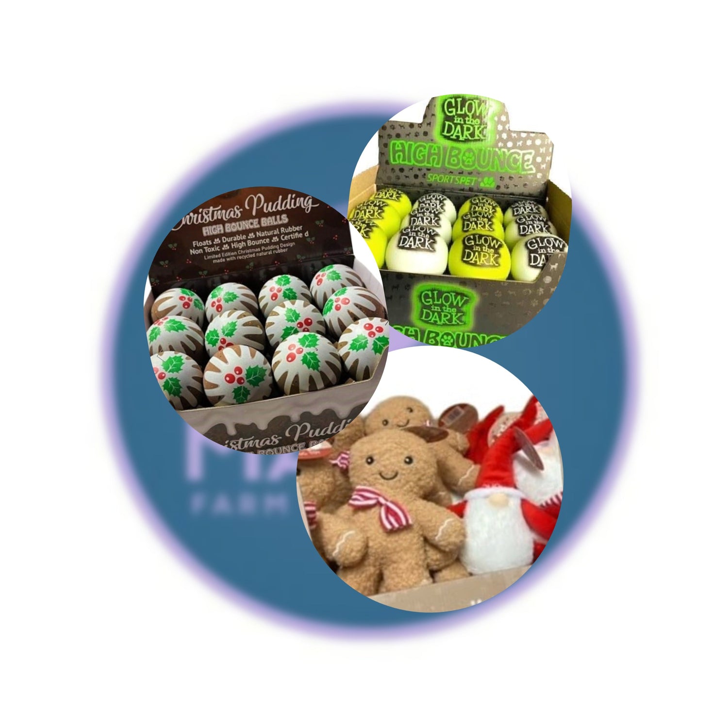 Seasonal / Misc / Web Exclusive