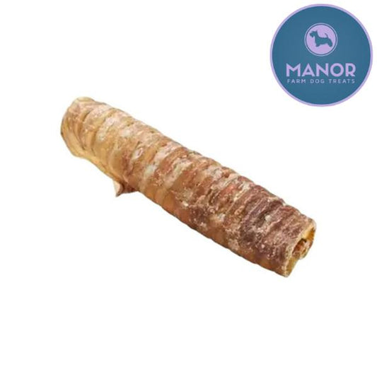 Trachea