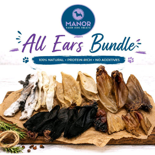 All Ears Bundle