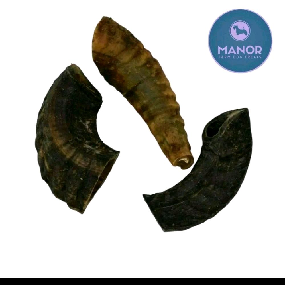 Horns Buffalo / Lamb